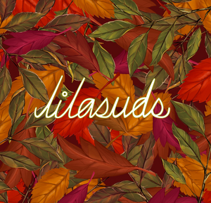 What's coming to Lilasuds for Autumn